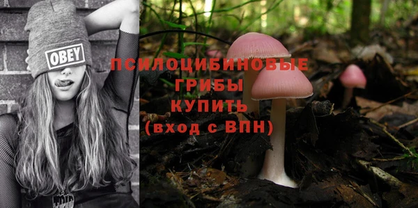 apvp Иннополис