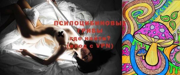 apvp Иннополис