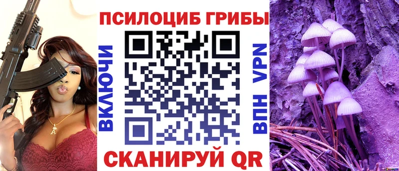 Купить  Гремячинск  Псилоцибиновые грибы Psilocybine cubensis 